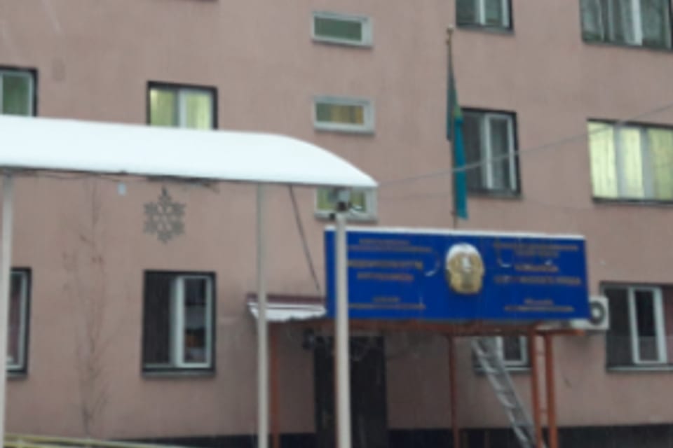Емхананың суреті, Алматы қаласындағы қабылдау