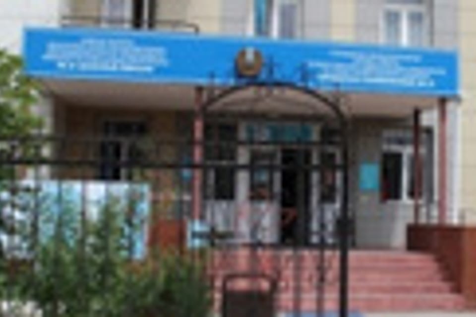 Емхананың суреті, Алматы қаласындағы қабылдау