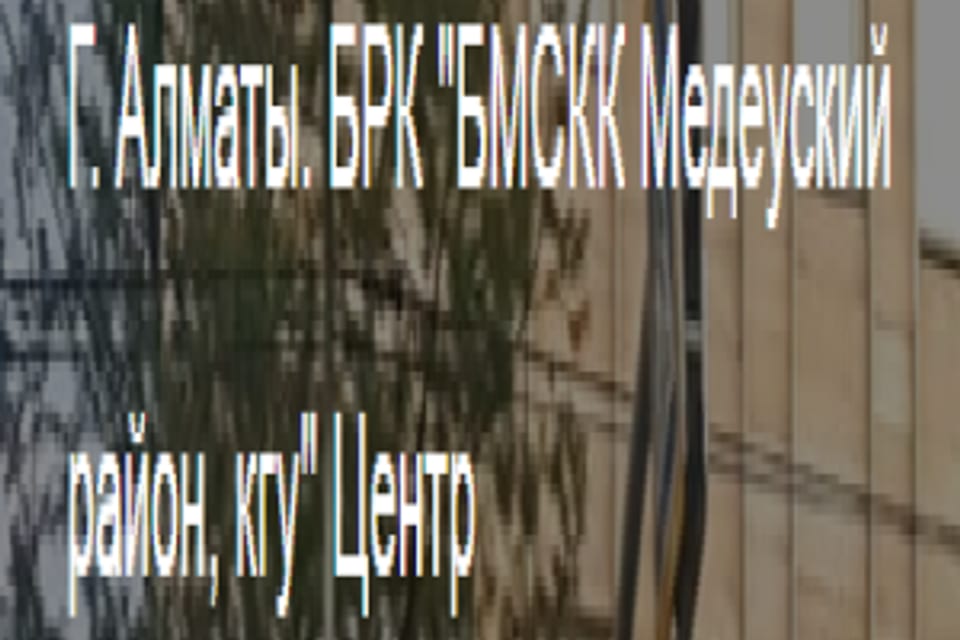 Емхананың суреті, Алматы қаласындағы қабылдау